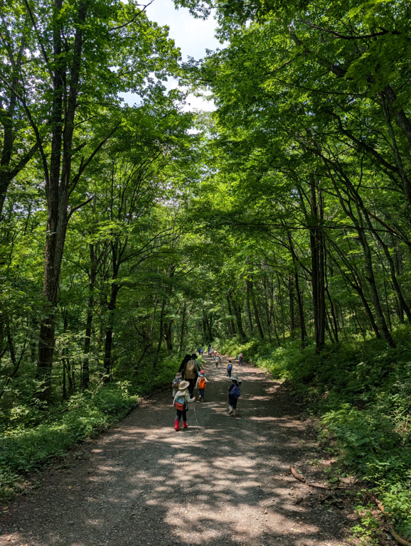 Karuizawa Nature School 0006