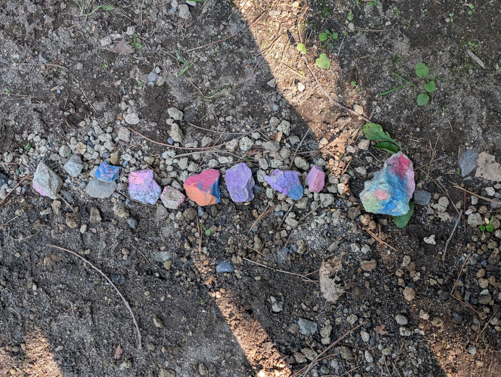 Karuizawa Nature School 0066