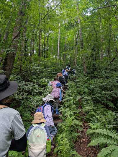 Child looking into the Karuizawa forest
