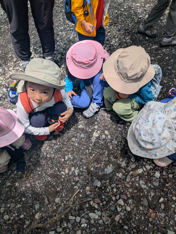 Karuizawa Nature School 0009