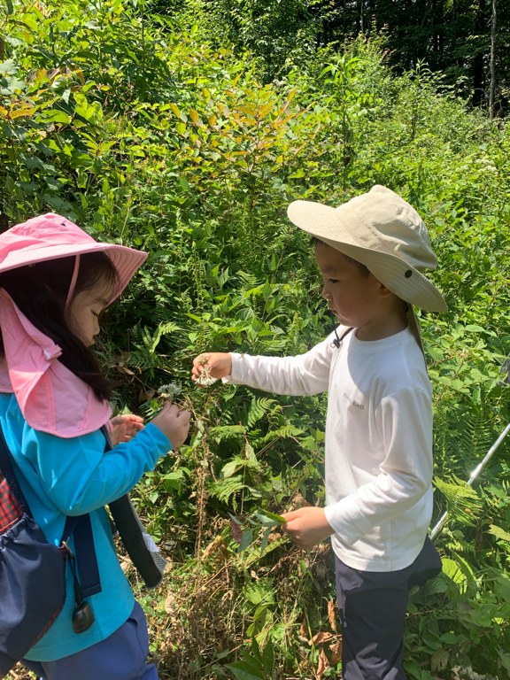 Karuizawa Nature School 0019