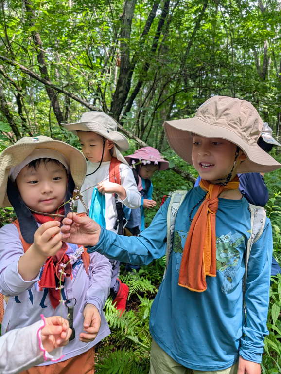 Karuizawa Nature School 0004