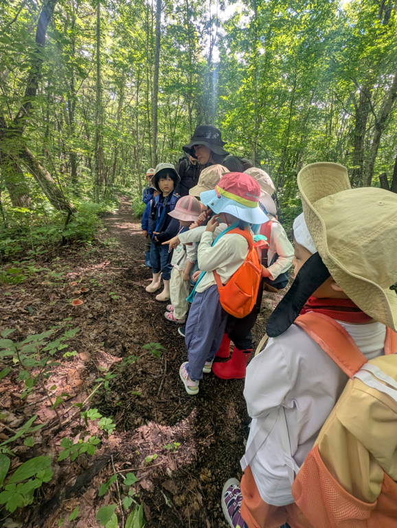 Karuizawa Nature School 0001